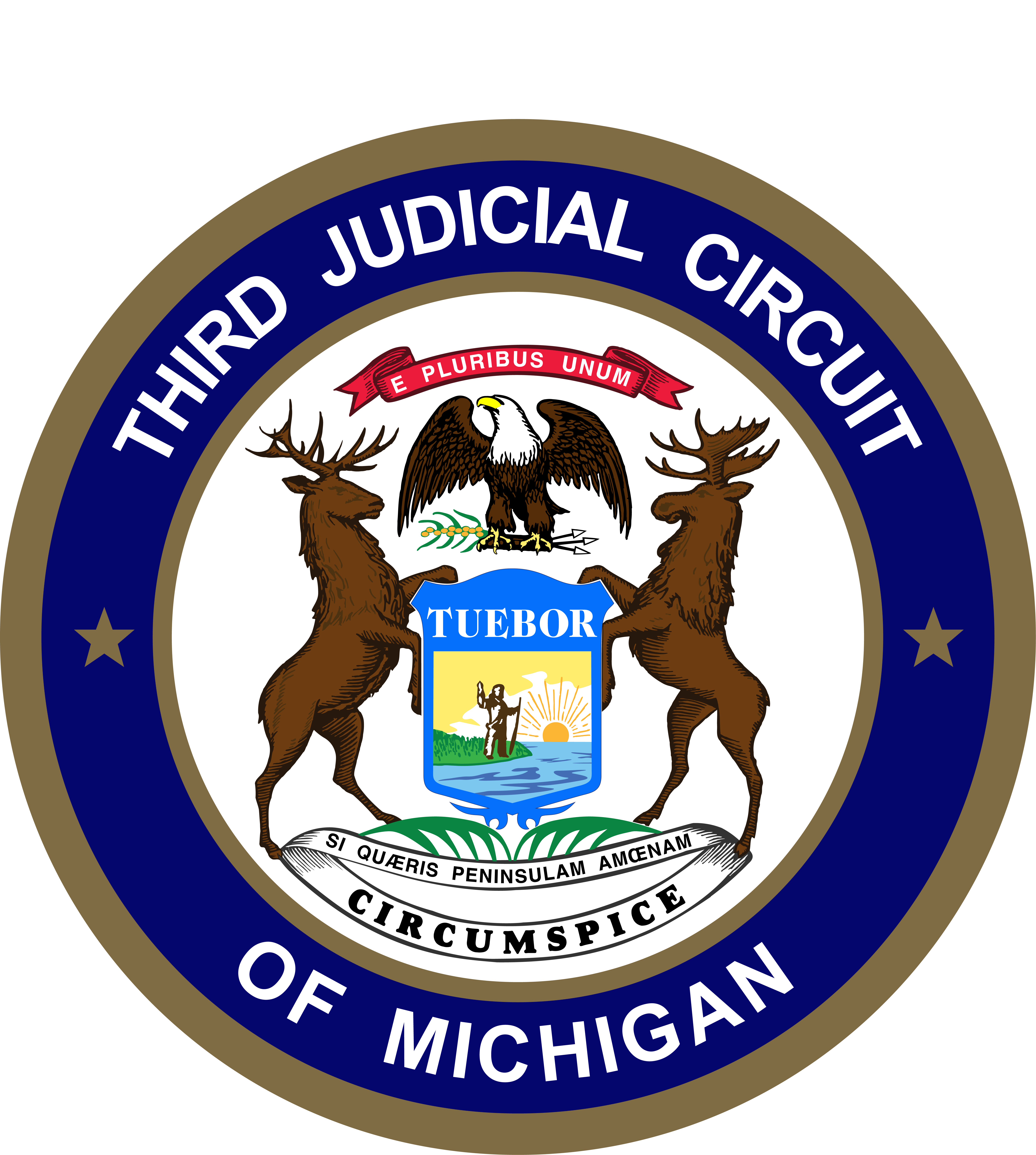 Third Circuit Court Home